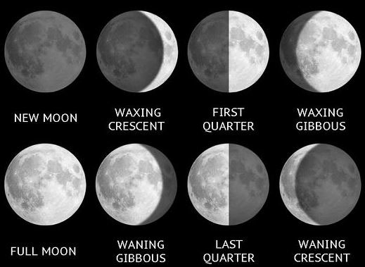 0030_20200930_1322_Phases of the moon.jpg